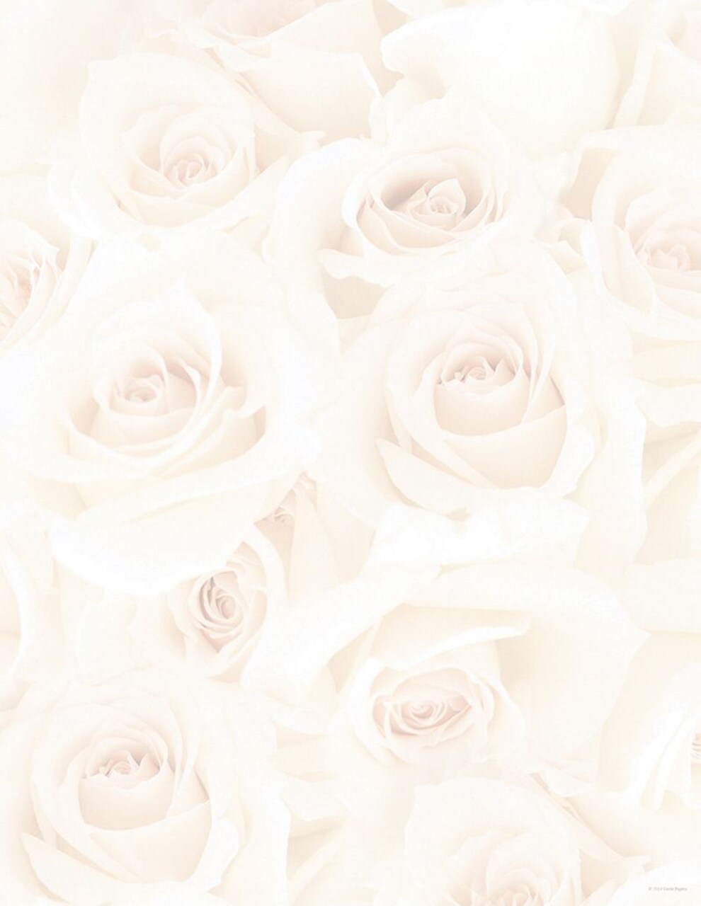 Great Papers! Blush Roses Stationery Letterhead, Invitations and Announcements, Printer Friendly, 8.5"x11", 80 Pack